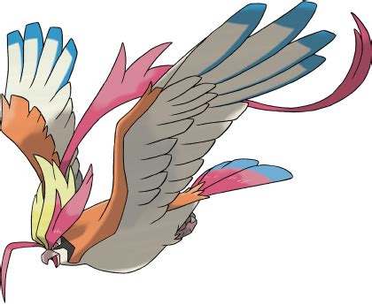 pidgeot smogon